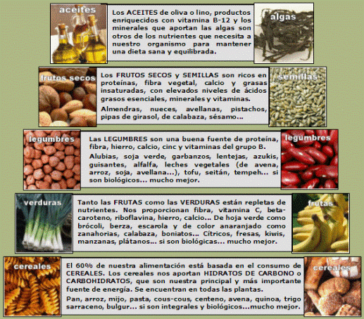 veganismo - especismo - holocausto animal