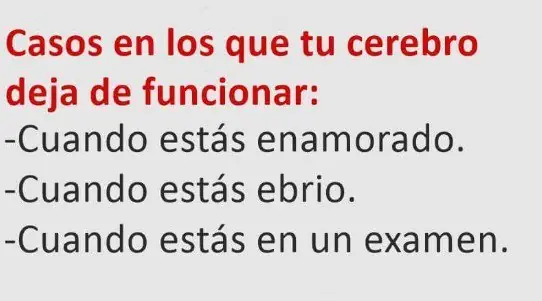 Imagenes graciosas