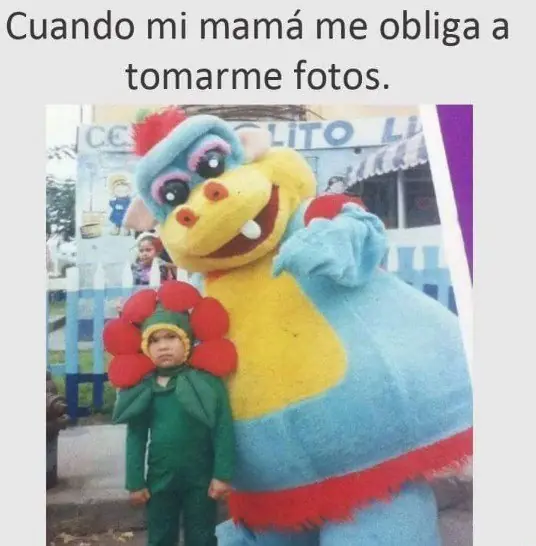el dia