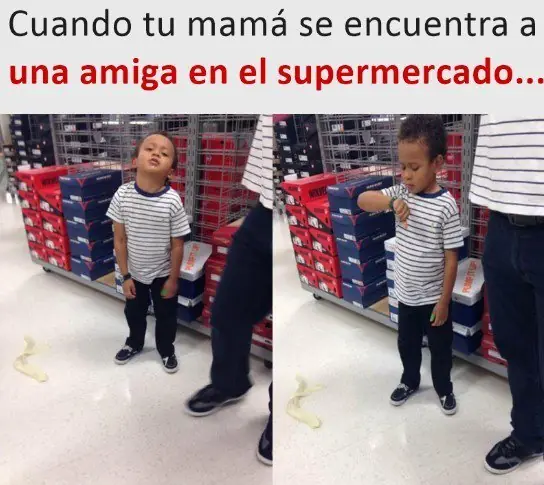 alegra