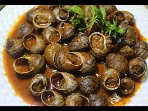 cria de caracoles