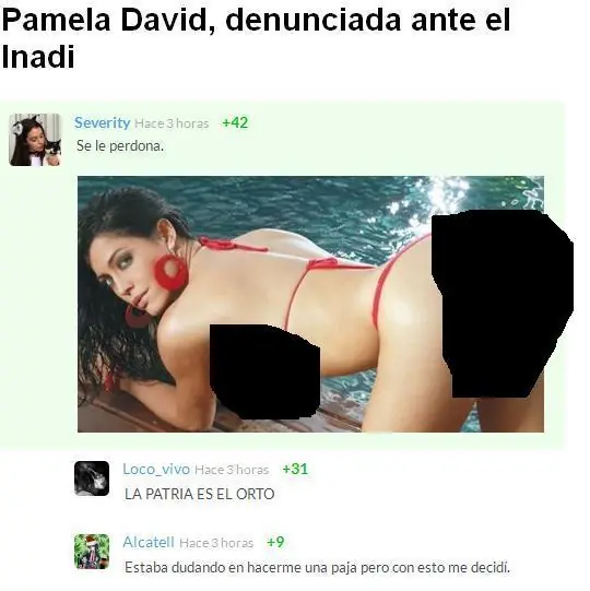 cultura taringuera