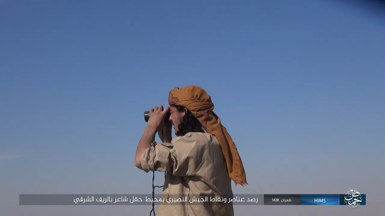 palmyra
