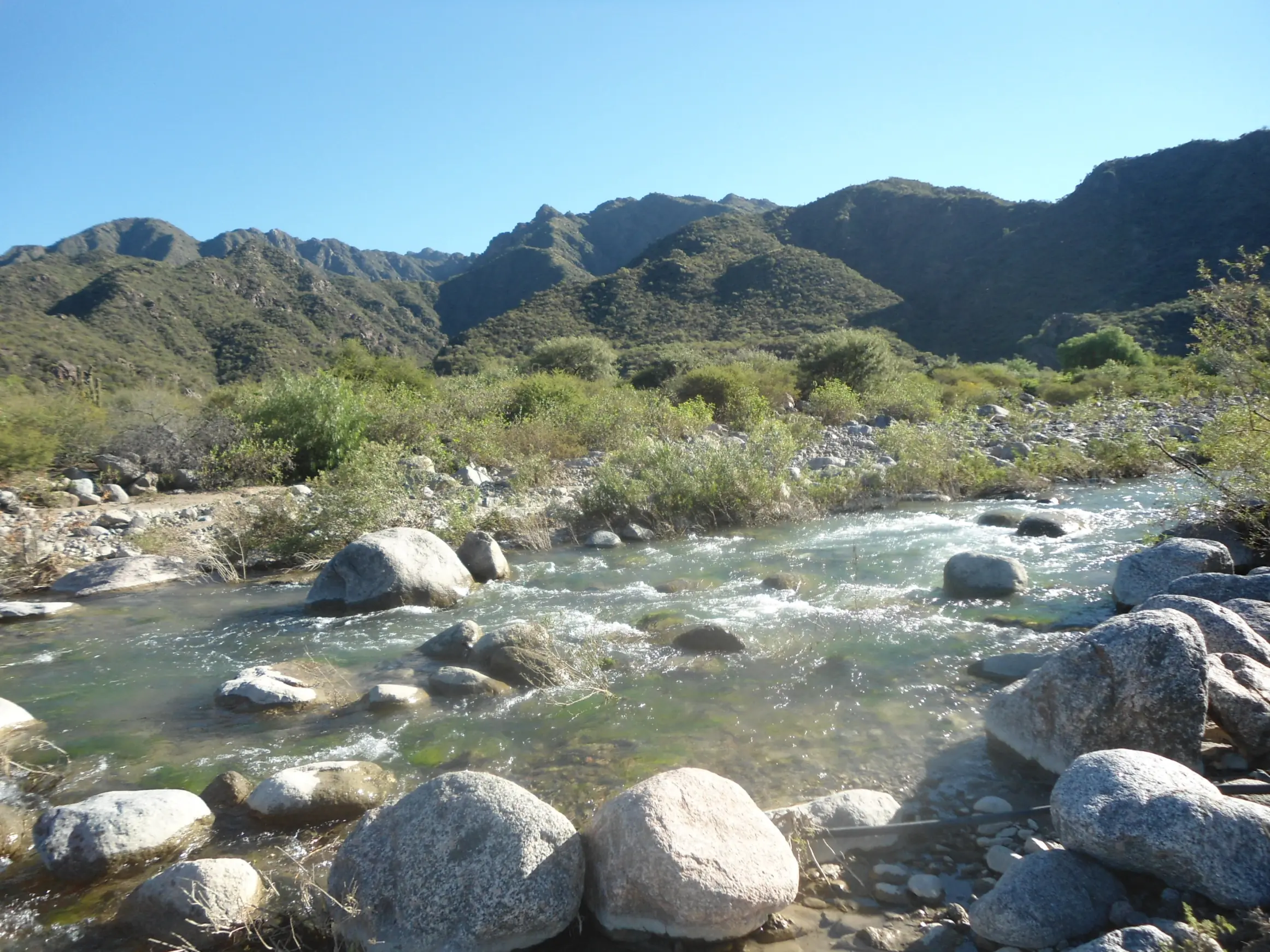 Visite Astica y te lo muestro.