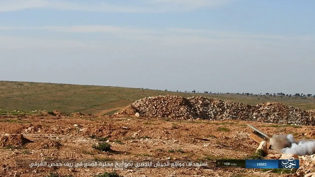 palmyra palmyra