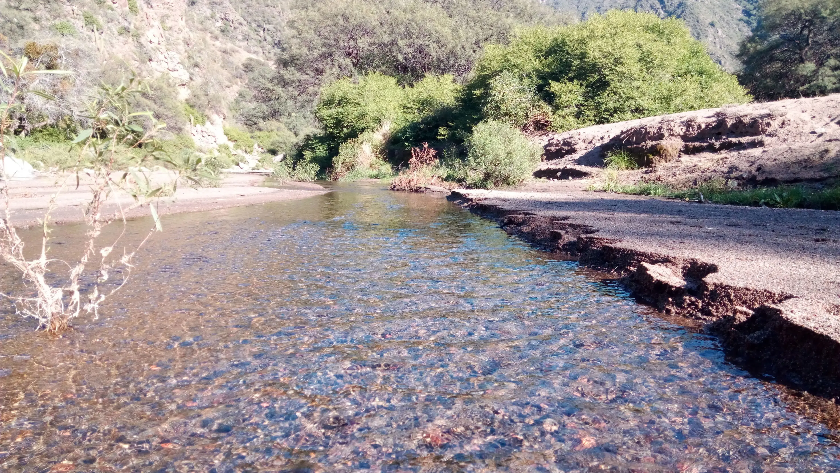 Visite Astica y te lo muestro.