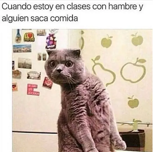 sale un positivo