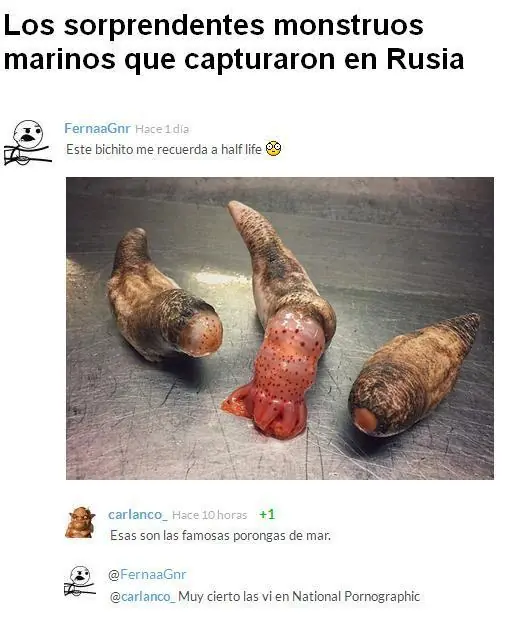 comentarios