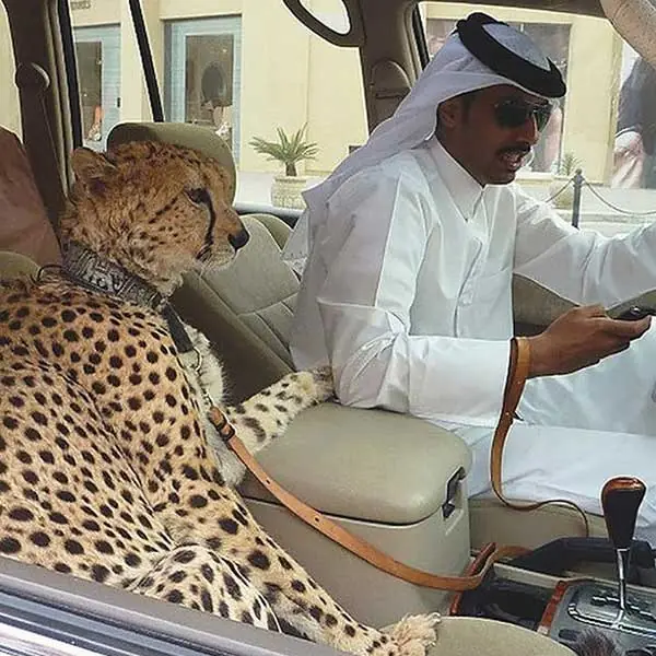 Fotos que prueban que el infierno existe y se llama Dubai
