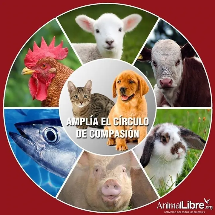 10 razones estrictamente nutricionales para ser vegano