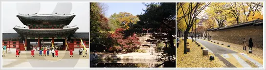 Las partes mas lindas de Corea del Sur
