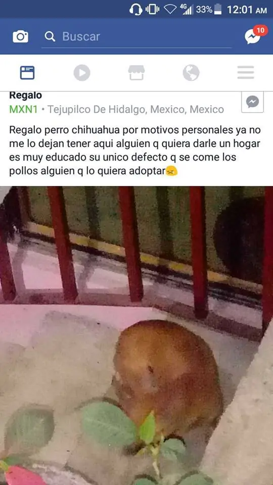 humor