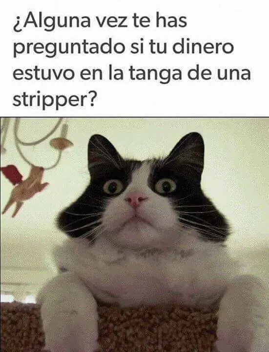 Mirate estas imagenes maquinola