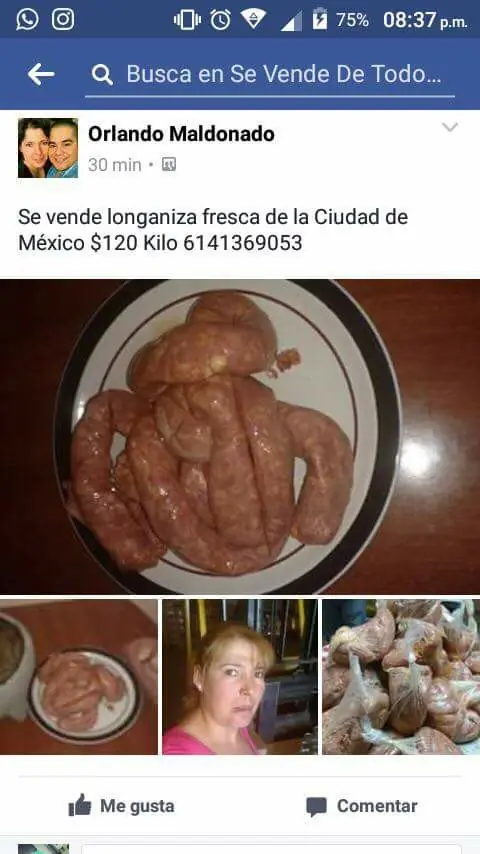 memes