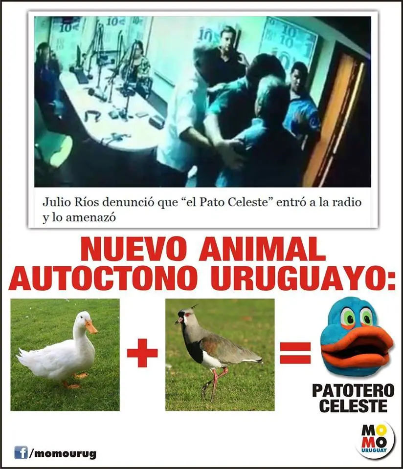 uruguayo