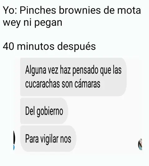memes