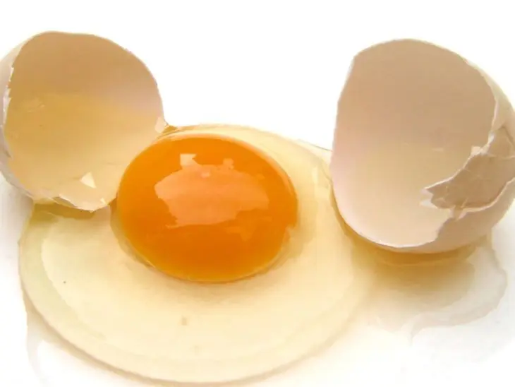 Alimentos