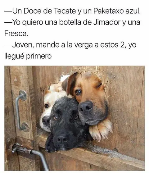 mexican memes