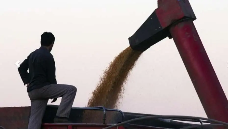 Rosario: condenan a dos cerealeras por contaminación