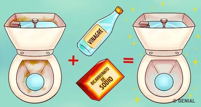 ¿Qué pasaría si viertes vinagre en el inodoro?