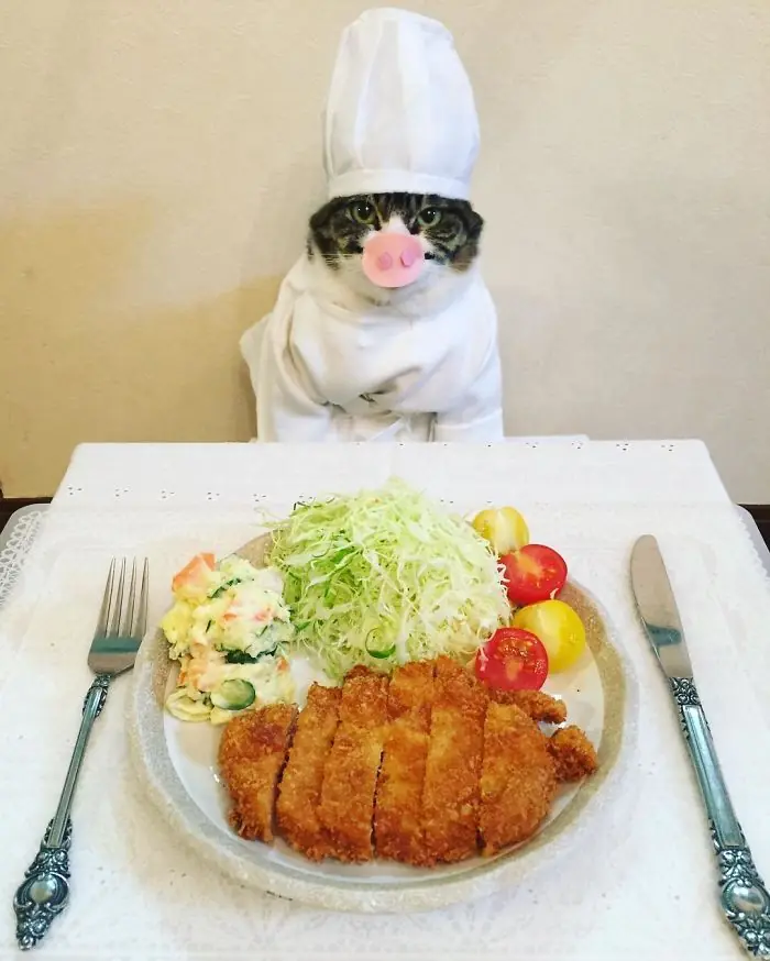 cosplay