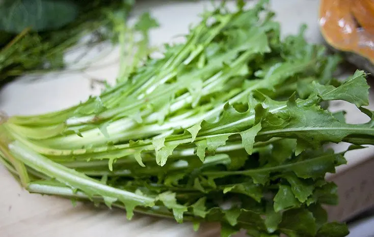huerta organica