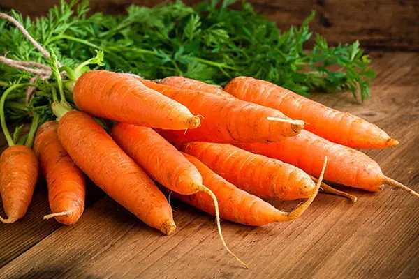 huerta