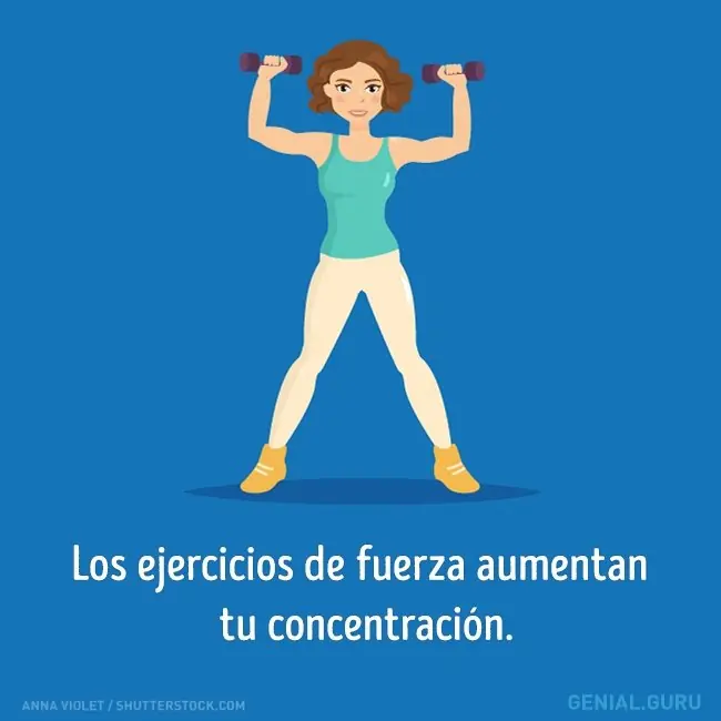 Como los tipos de entrenamiento influyen en nuestro cerebro