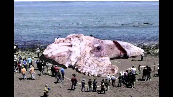 5 Criaturas miticas que podrían haber existido