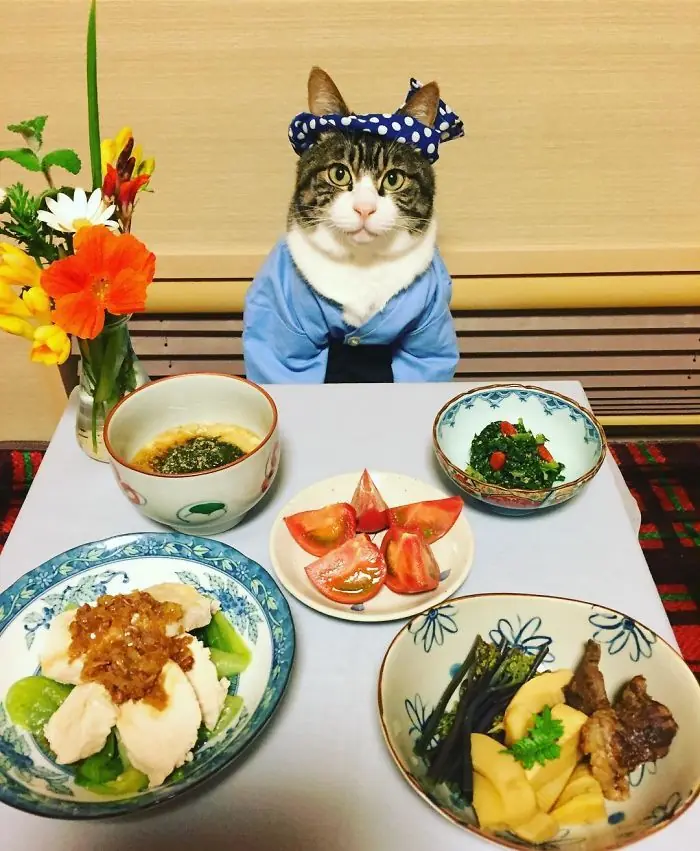 cena