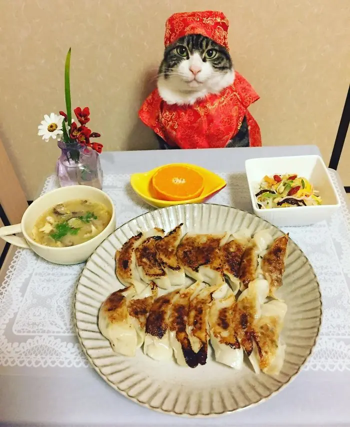 cuando cena