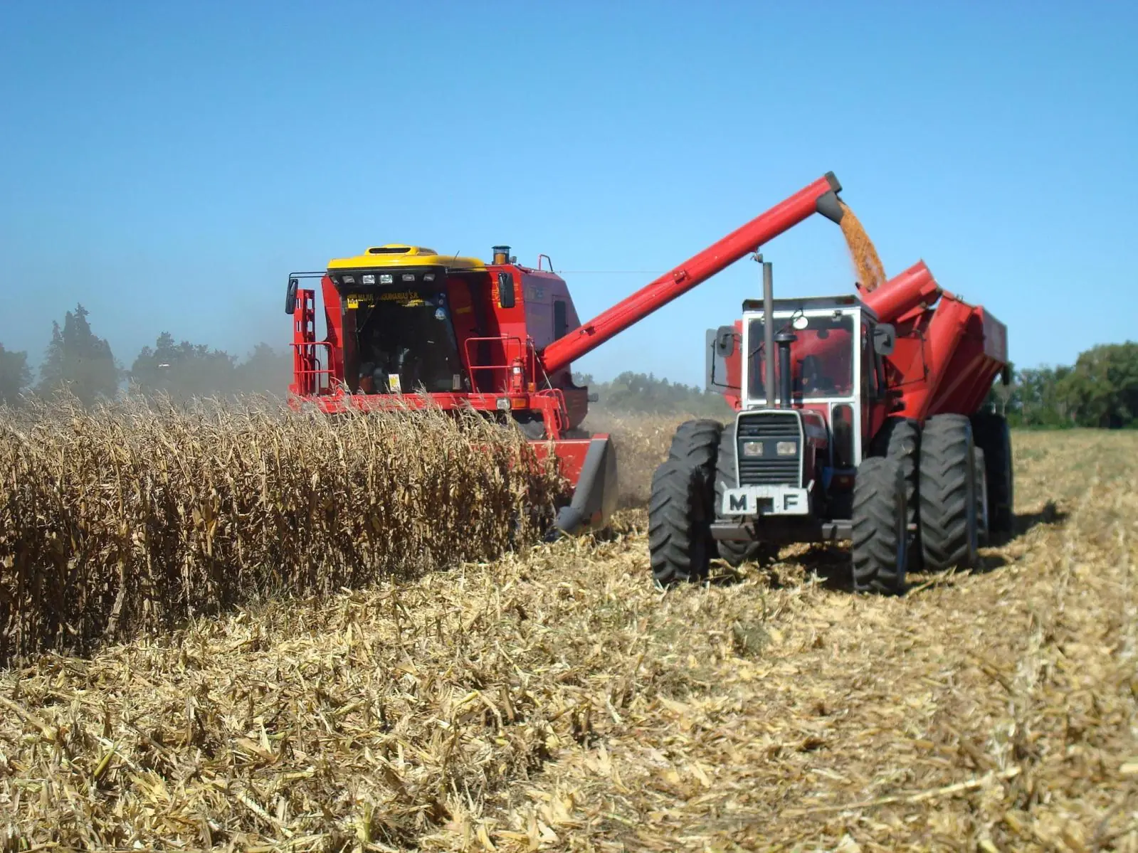 El campo argentino y el sistema agroexportador El campo argentino y el sistema agroexportador