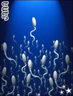 Curiosidades, Secretos y Trucos del Cuerpo Humano Curiosidades, Secretos y Trucos del Cuerpo Humano