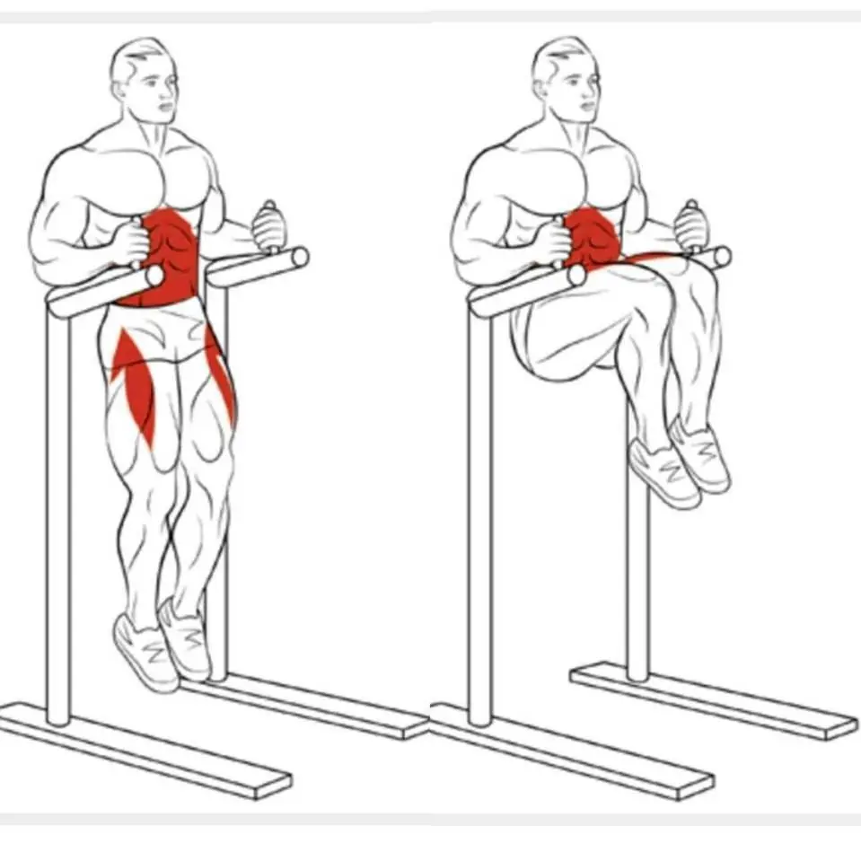 Obtén un sixpack de mach@ con estas rutinas