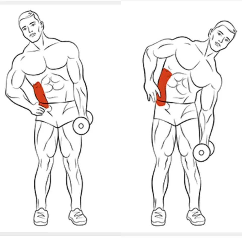 abdomen marcado
