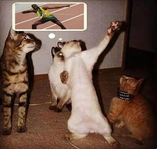 Imagenes de humor de madrugada!