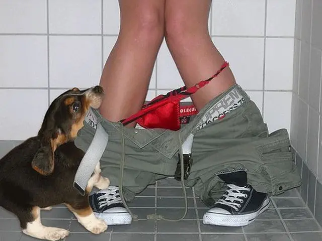 Imagenes de humor de madrugada!
