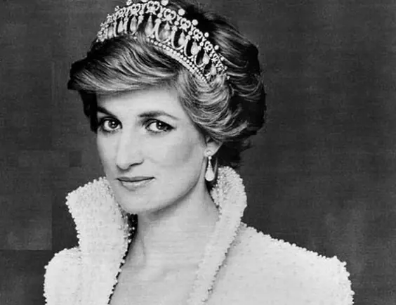 ladydi