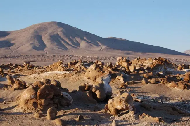 Conoce a: El lugar más seco de la Tierra