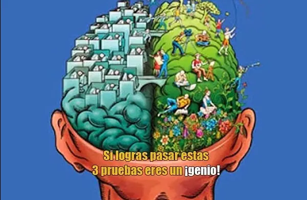 3 Pruebas para tu cerebro (si logras pasarlas eres un genio)