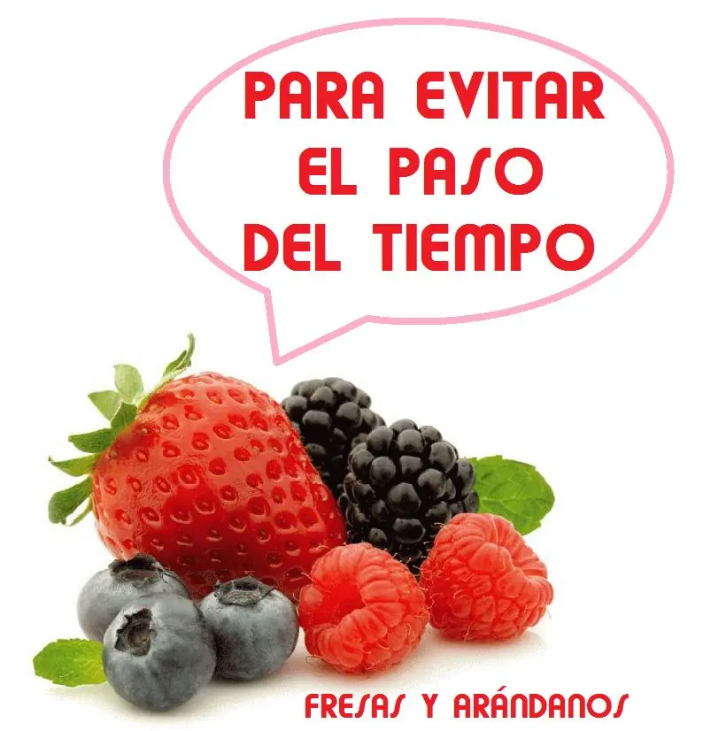 Alimentación Alimentación