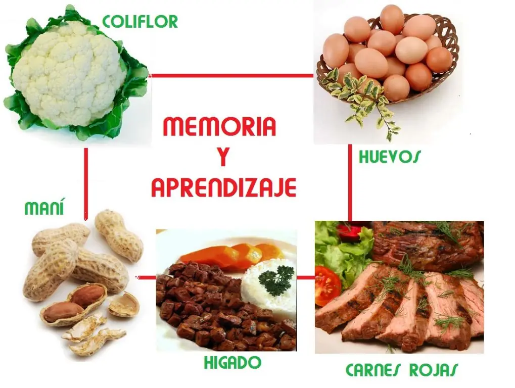 Alimentación