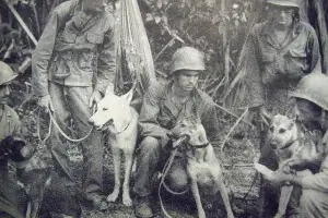 perro