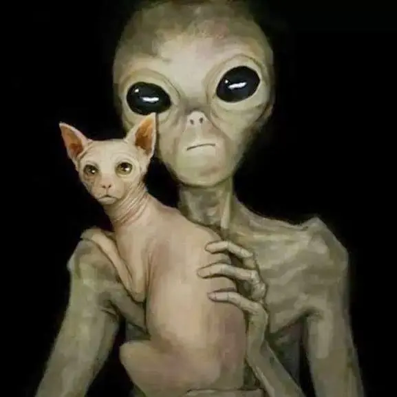 los gatos son espias alienigenas