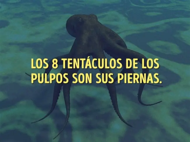 mentiras