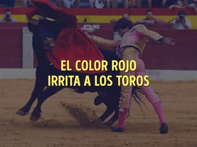 creido