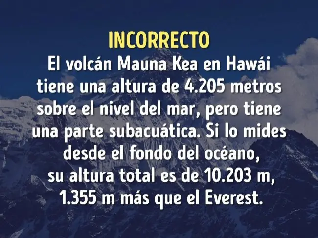 vida