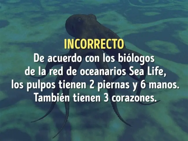 hemos