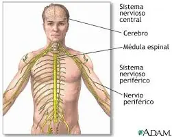 sistemas