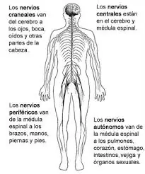 informacion